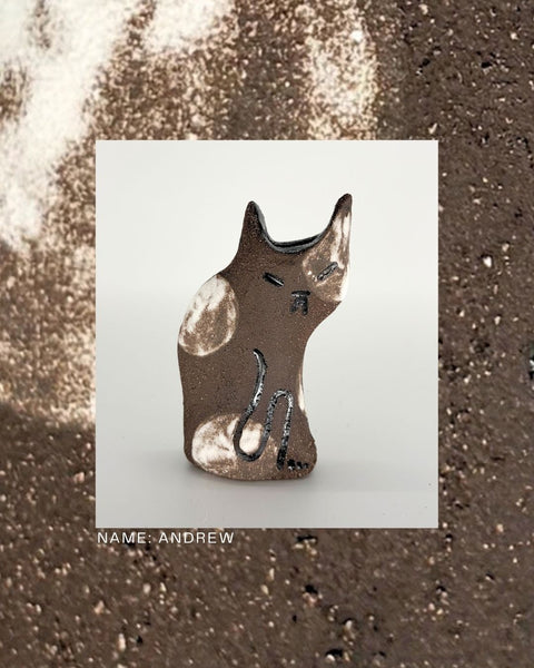 Rescue Cat Vase (Medium): Andrew