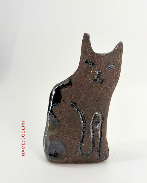 Rescue Cat Vase (Medium): Joseph