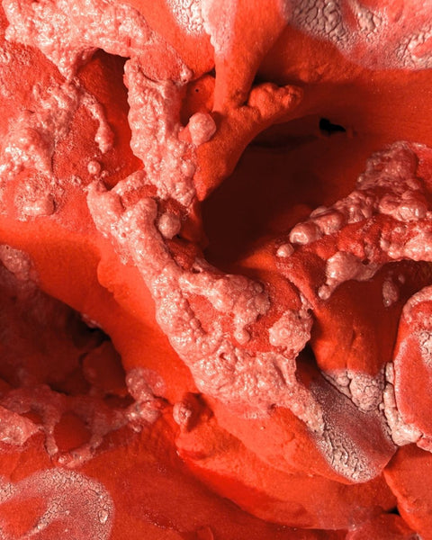 Slop | Sculptural Vessel