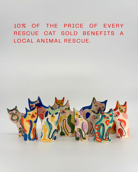 Rescue Cat Vase (Medium): Jarvis